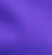 Iris Purple