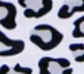 White Leopard _ Last Chance